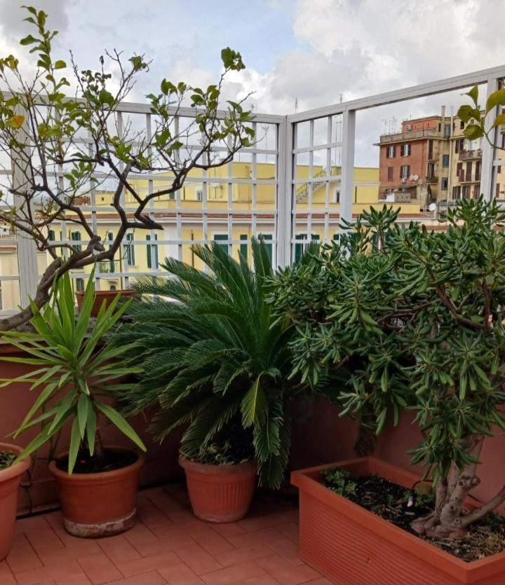 Attico Pavia Vicino Policlinico * Roma