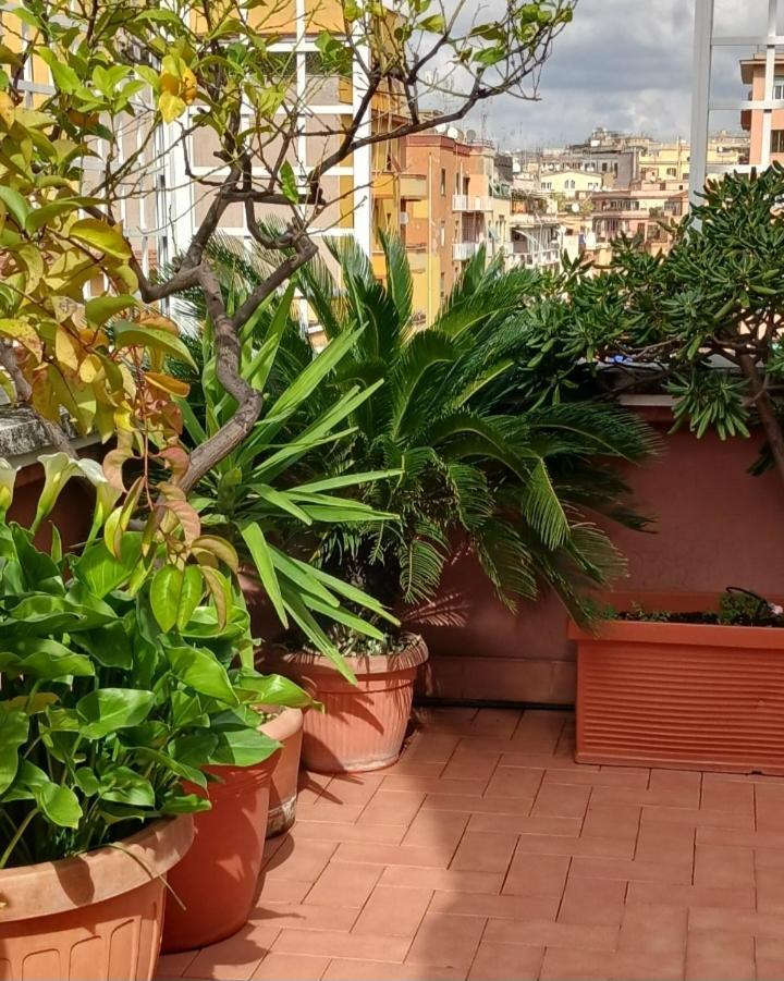 Apartamento Attico Pavia Vicino Policlinico *