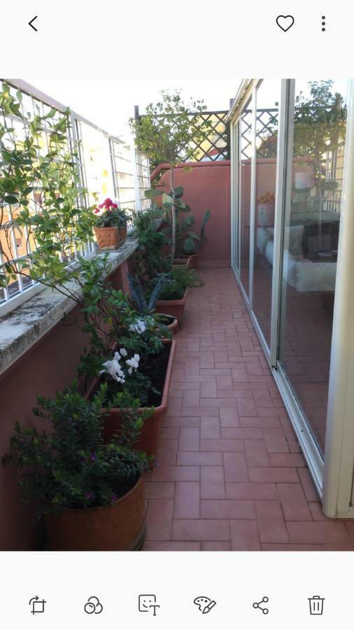 Attico Pavia Vicino Policlinico Apartamento